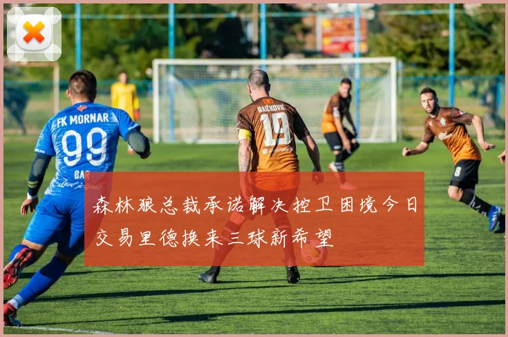 森林狼总裁承诺解决控卫困境今日交易里德换来三球新希望